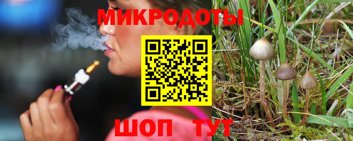 Борисоглебск  Галлюциногенные грибы MAGIC MUSHROOMS  Вход с VPN 