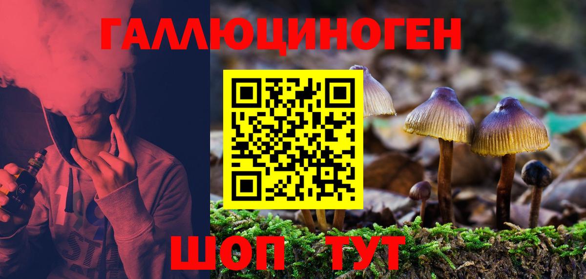 Псилоцибиновые грибы GOLDEN TEACHER Борисоглебск
